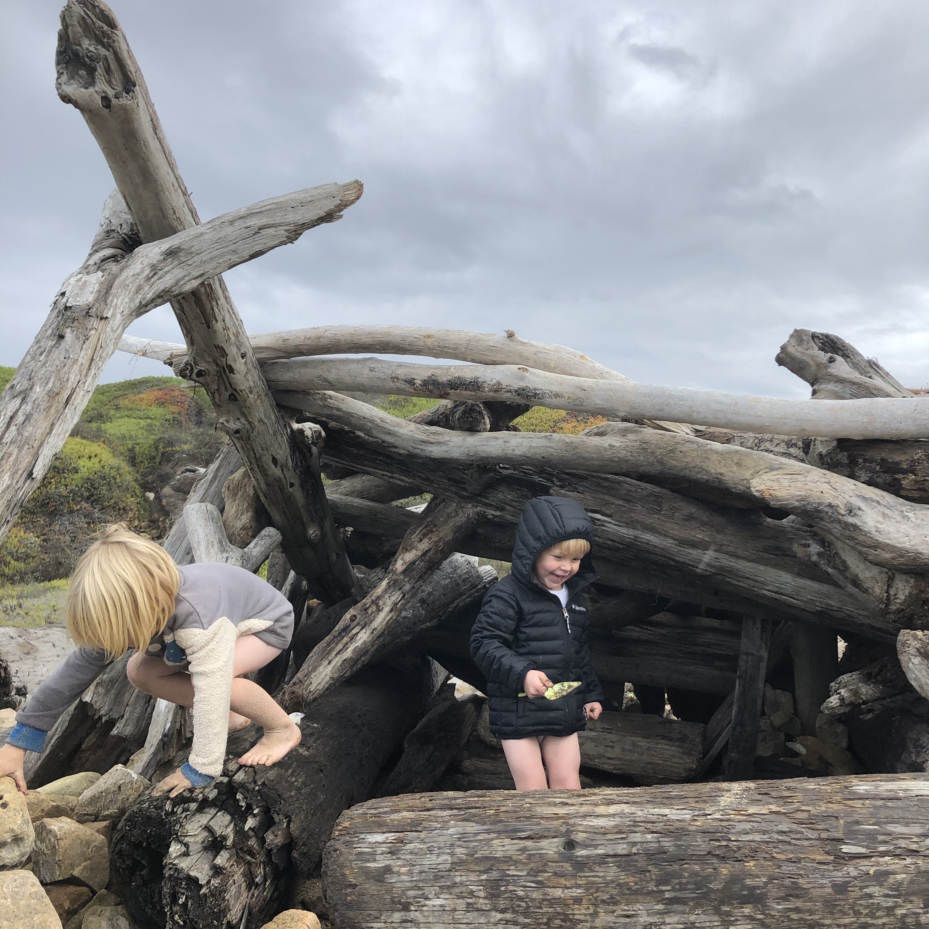 69YPCCluRkSGVXrOlnvR%g