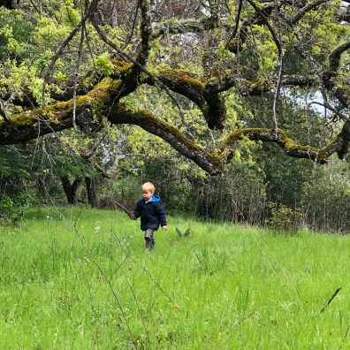 vQ+Vbx6MS1yYjQ1LxayDKQ